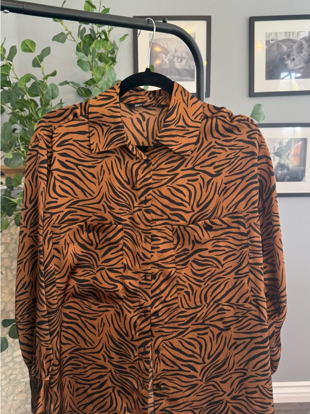 Zara Brown and Black Zebra-Print Casual Button-Down Shirt